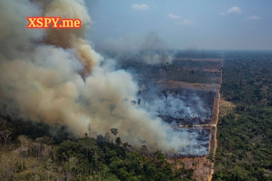 Mộng báo thấy cháy rừng được dập tắt bắt ngay con lô 77